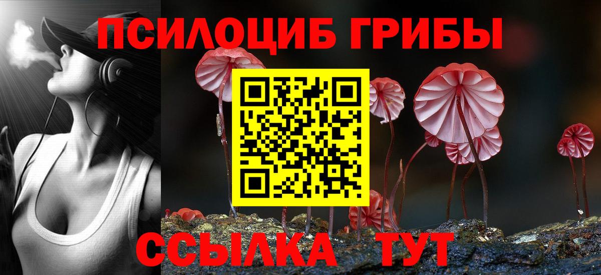 Галлюциногенные грибы MAGIC MUSHROOMS  Вход с VPN  Алейск 