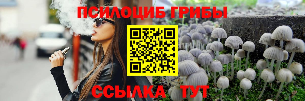 Галлюциногенные грибы Psilocybine cubensis Алейск